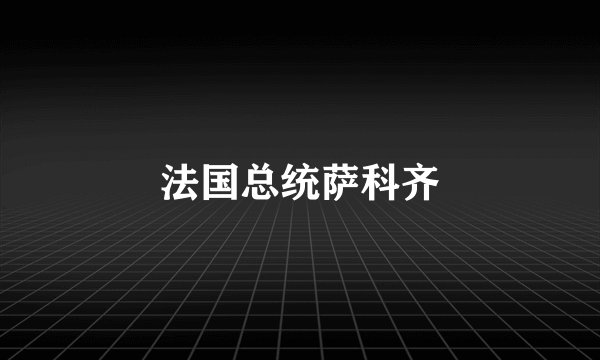 法国总统萨科齐