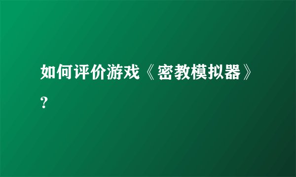 如何评价游戏《密教模拟器》？