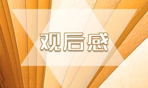 最新315晚会观后感5篇_观看315晚会心得感悟5篇