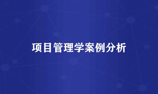 项目管理学案例分析