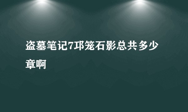 盗墓笔记7邛笼石影总共多少章啊