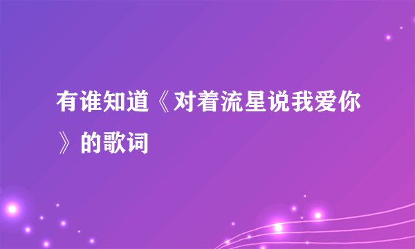 有谁知道《对着流星说我爱你》的歌词