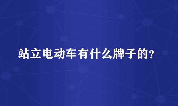 站立电动车有什么牌子的？