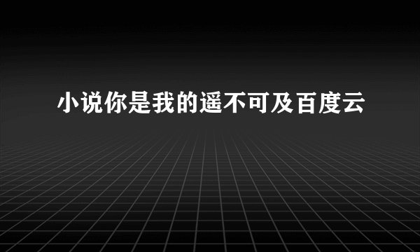 小说你是我的遥不可及百度云