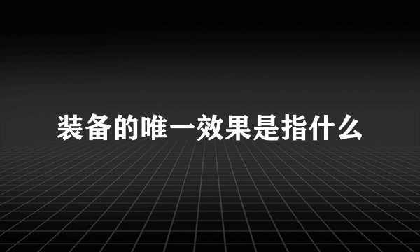 装备的唯一效果是指什么
