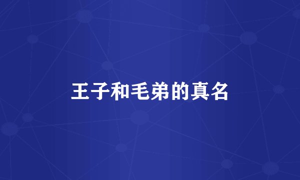 王子和毛弟的真名