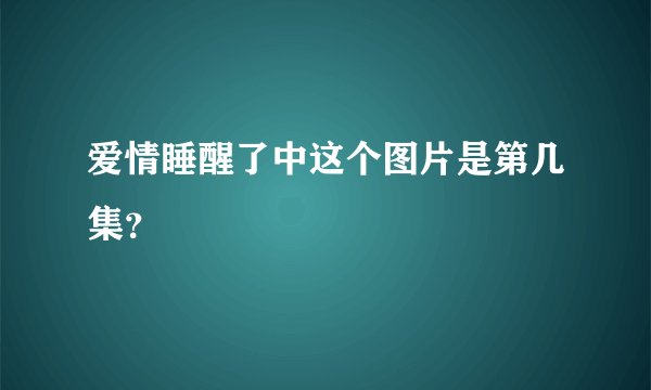 爱情睡醒了中这个图片是第几集？