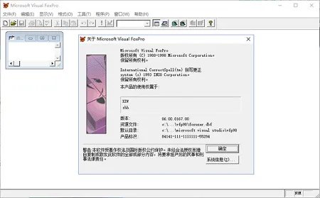 visual foxpro 9.0