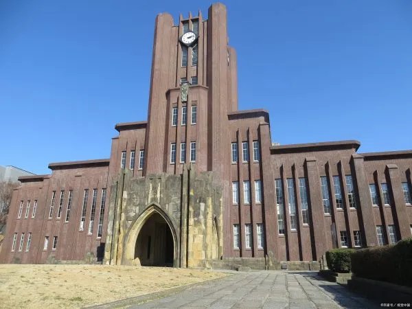 大学教育中,普遍存在的问题有哪些?