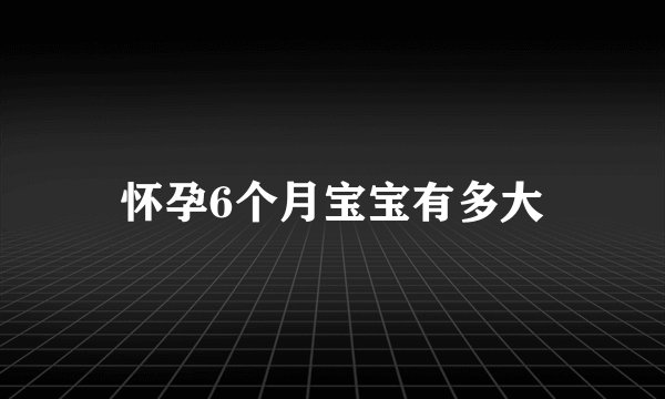 怀孕6个月宝宝有多大