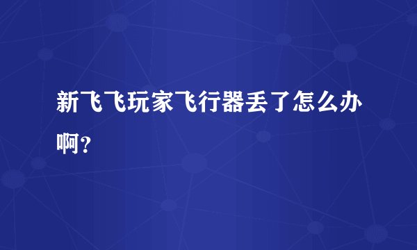 新飞飞玩家飞行器丢了怎么办啊？