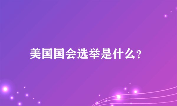 美国国会选举是什么？