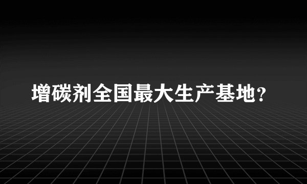 增碳剂全国最大生产基地？