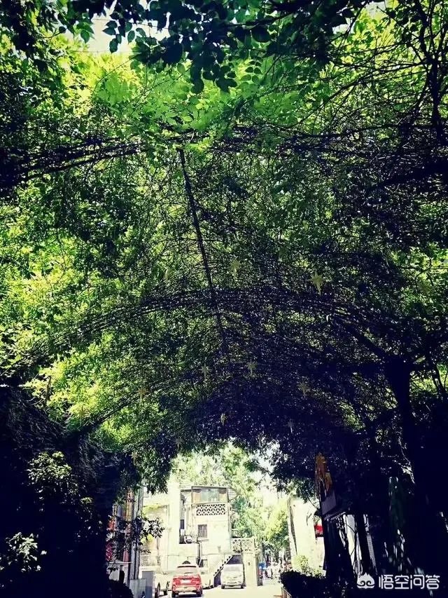 南京有哪些地方值得摄影师去拍照?