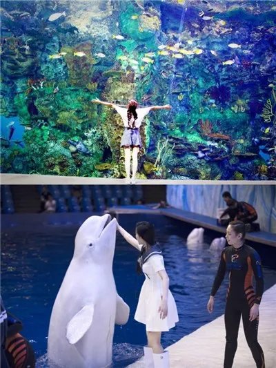 歌手陈冰吻海豚显童心 呼吁大家保护海洋生物