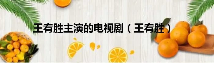王宥胜主演的电视剧（王宥胜）