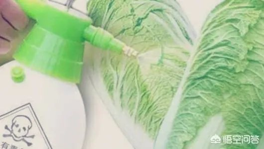 如何识别出甲醛白菜?