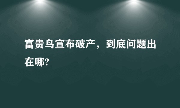 富贵鸟宣布破产，到底问题出在哪?