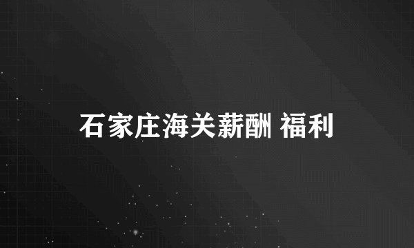 石家庄海关薪酬 福利