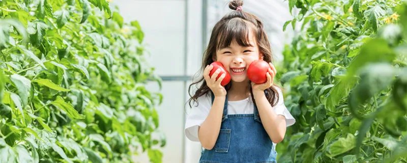 11月21日是什么节日 每年的11月21日是什么节日