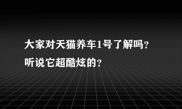 大家对天猫养车1号了解吗？听说它超酷炫的？