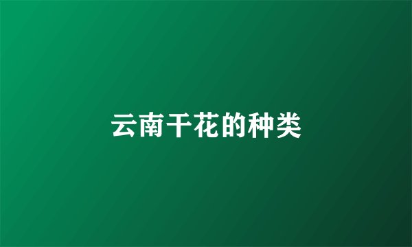 云南干花的种类