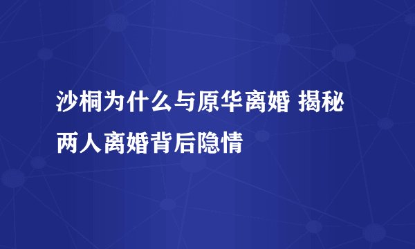 沙桐为什么与原华离婚 揭秘两人离婚背后隐情