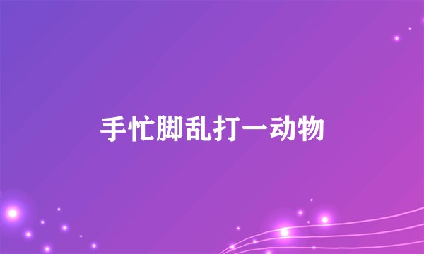 手忙脚乱打一动物