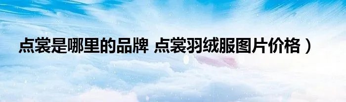 点裳是哪里的品牌 点裳羽绒服图片价格）
