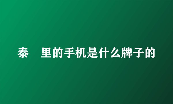 泰囧里的手机是什么牌子的