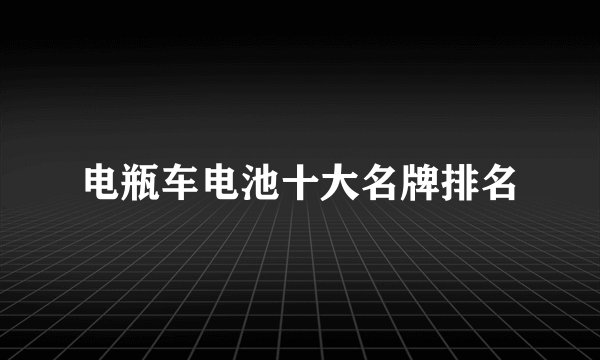电瓶车电池十大名牌排名