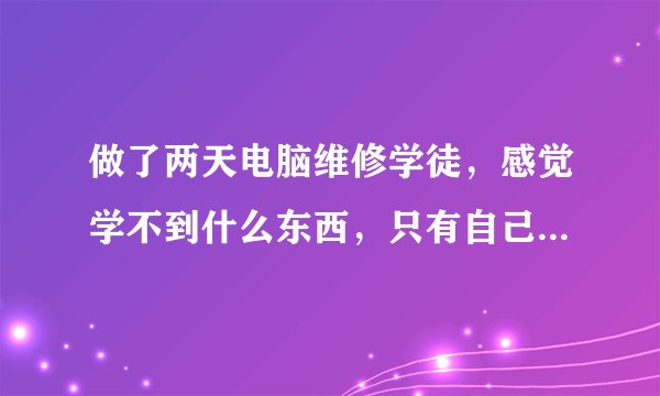 做了两天电脑维修学徒，感觉学不到什么东西，只有自己在学，师傅都不怎么教，问他就说一下怎么做