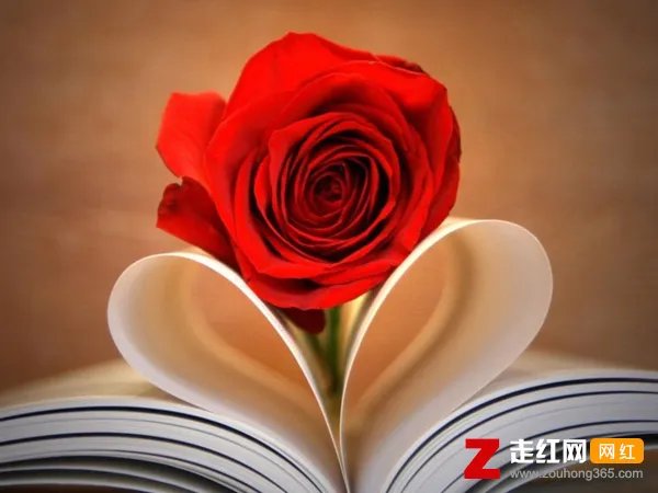 我爱你一定爱到花都开了鸟儿把歌唱是什么歌,一定要爱你歌曲介绍