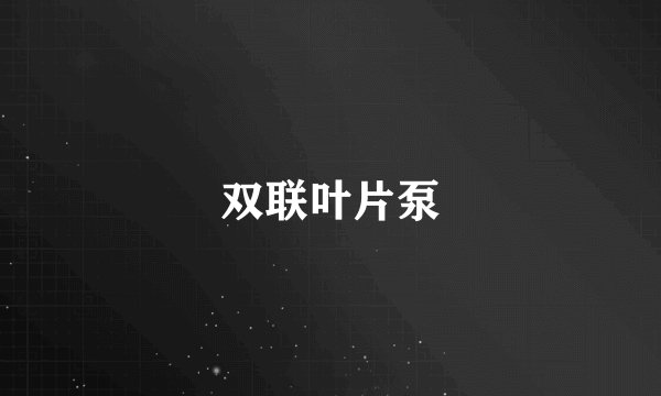 双联叶片泵