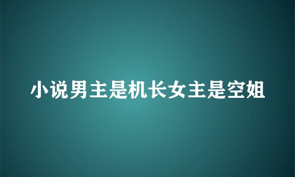 小说男主是机长女主是空姐