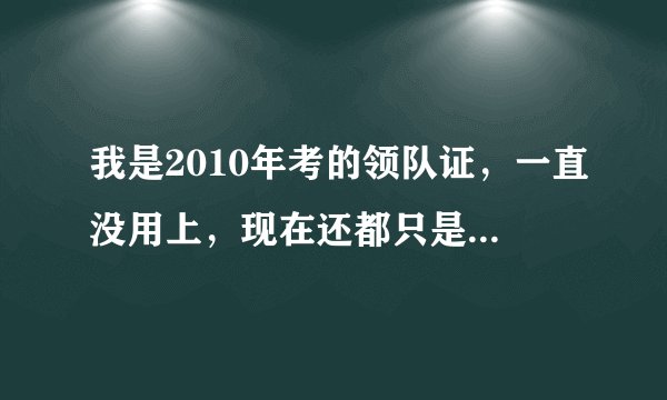 我是2010年考的领队证，一直没用上，现在还都只是资格证，也就没有所谓的年审等。