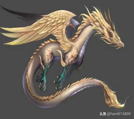十大圣兽图片