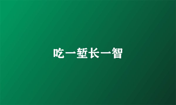 吃一堑长一智