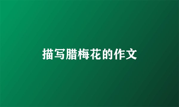 描写腊梅花的作文