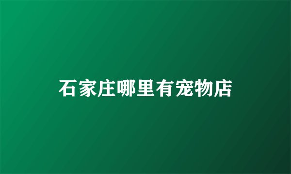 石家庄哪里有宠物店