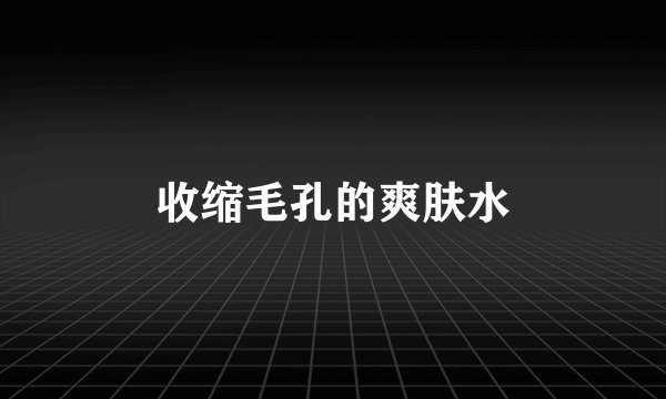 收缩毛孔的爽肤水
