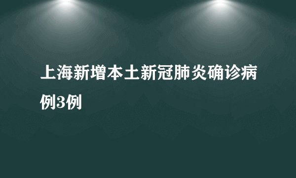 上海新增本土新冠肺炎确诊病例3例