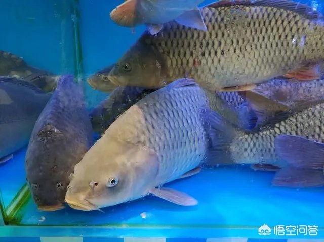 你过年遇到过什么奇葩事吗？