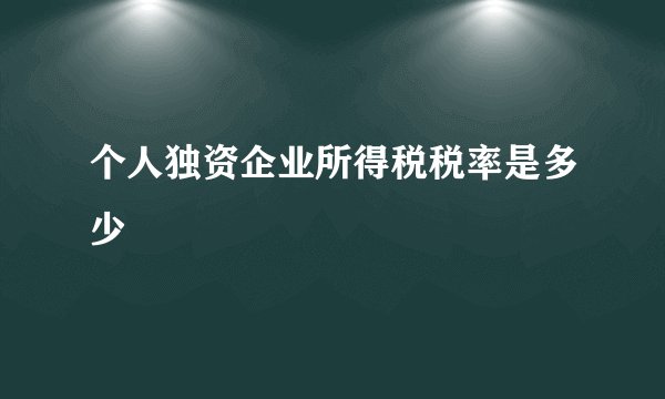 个人独资企业所得税税率是多少