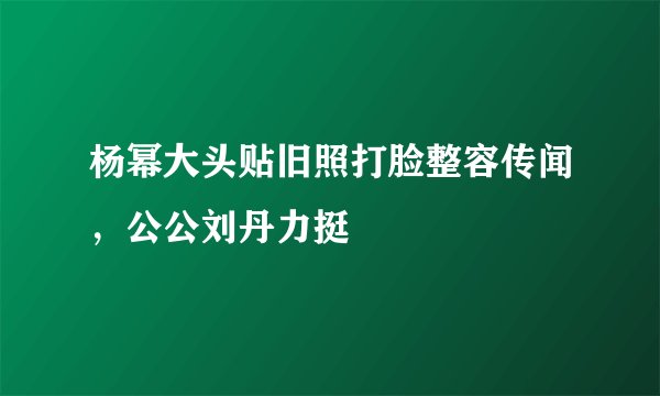 杨幂大头贴旧照打脸整容传闻，公公刘丹力挺