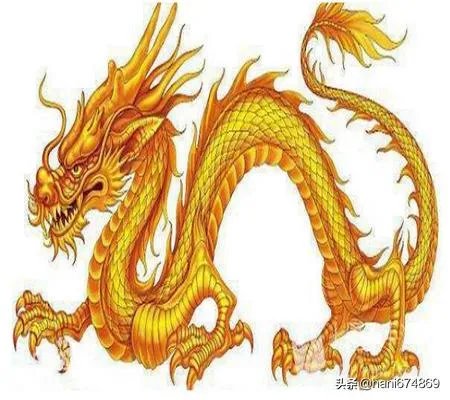 十大圣兽图片