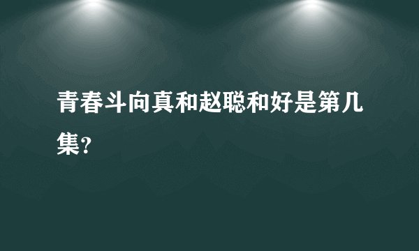 青春斗向真和赵聪和好是第几集？