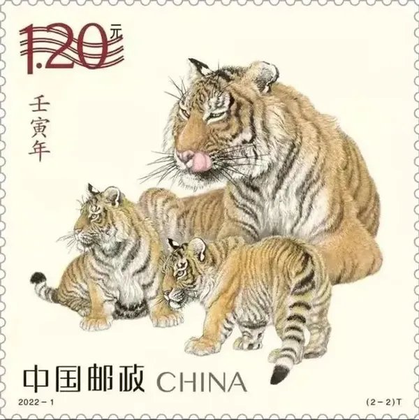 新版虎年邮票正式发行 网友质疑:一脸呆傻毫无虎威