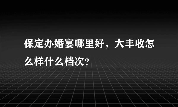 保定办婚宴哪里好，大丰收怎么样什么档次？