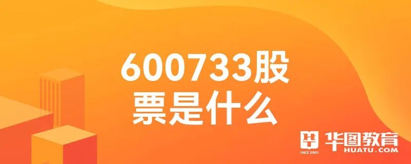 600733股票是什么